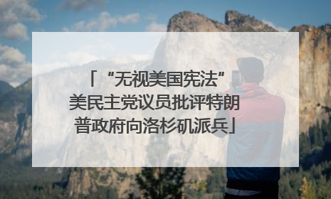 “无视美国宪法” 美民主党议员批评特朗普政府向洛杉矶派兵