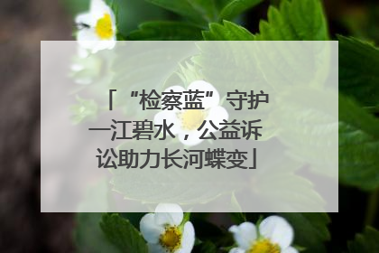 “检察蓝”守护一江碧水，公益诉讼助力长河蝶变