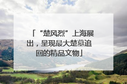 “楚风烈”上海展出，呈现最大楚墓追回的精品文物