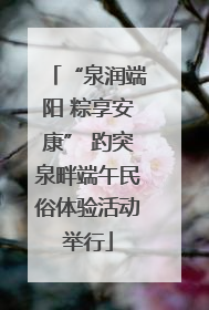 “泉润端阳 粽享安康” 趵突泉畔端午民俗体验活动举行
