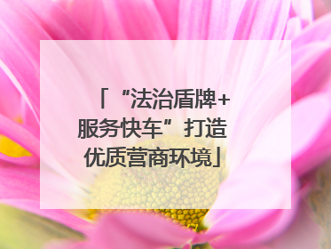 “法治盾牌+服务快车”打造优质营商环境