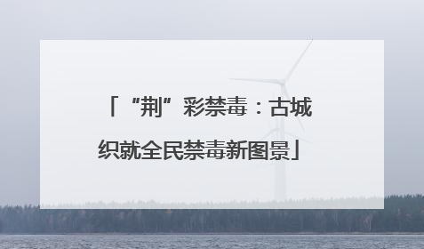 “荆”彩禁毒：古城织就全民禁毒新图景