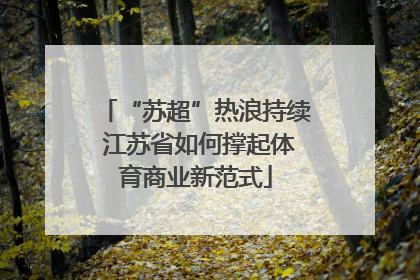 “苏超”热浪持续 江苏省如何撑起体育商业新范式