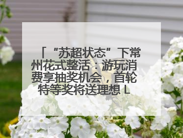 “苏超状态”下常州花式整活：游玩消费享抽奖机会，首轮特等奖将送理想 L6 Pro