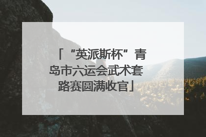 “英派斯杯”青岛市六运会武术套路赛圆满收官
