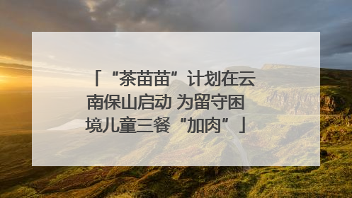 “茶苗苗”计划在云南保山启动 为留守困境儿童三餐“加肉”