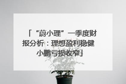 “蔚小理”一季度财报分析：理想盈利稳健 小鹏亏损收窄