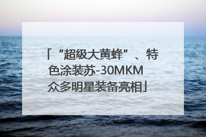 “超级大黄蜂”、特色涂装苏-30MKM 众多明星装备亮相