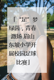“足”梦绿茵，青春激扬 眉山东坡小学开展校园足球比赛