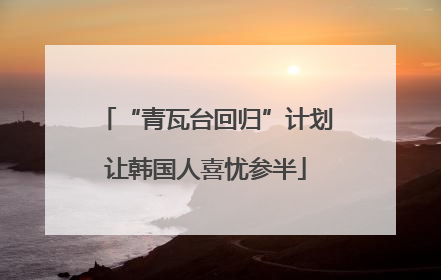 “青瓦台回归”计划让韩国人喜忧参半