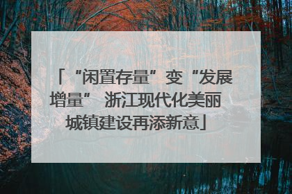 “闲置存量”变“发展增量” 浙江现代化美丽城镇建设再添新意
