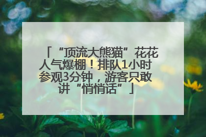 “顶流大熊猫”花花人气爆棚！排队1小时参观3分钟，游客只敢讲“悄悄话”