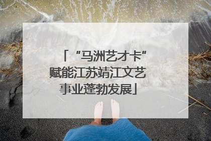 “马洲艺才卡”赋能江苏靖江文艺事业蓬勃发展