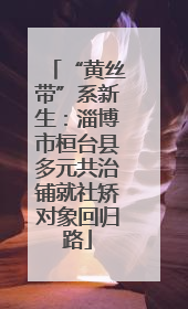 “黄丝带”系新生：淄博市桓台县多元共治铺就社矫对象回归路