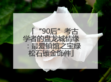“90后”考古学者的盘龙城情缘：最爱镇馆之宝绿松石镶金饰件