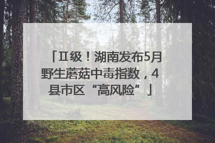Ⅱ级！湖南发布5月野生蘑菇中毒指数，4县市区“高风险”