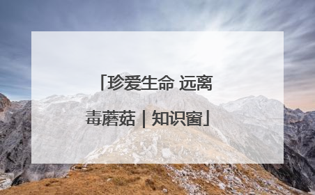 珍爱生命 远离毒蘑菇｜知识窗