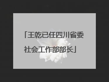 王乾已任四川省委社会工作部部长
