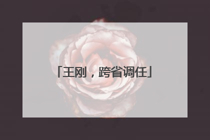 王刚，跨省调任