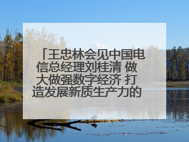 王忠林会见中国电信总经理刘桂清 做大做强数字经济 打造发展新质生产力的强劲引擎