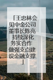王忠林会见中金公司董事长陈亮 持续深化务实合作 做强支点建设金融支撑