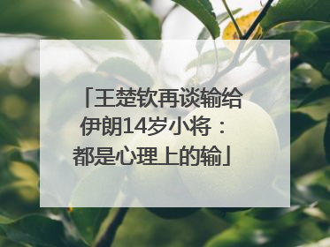 王楚钦再谈输给伊朗14岁小将：都是心理上的输