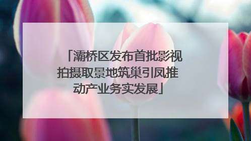 灞桥区发布首批影视拍摄取景地筑巢引凤推动产业务实发展