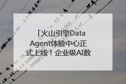 火山引擎Data Agent体验中心正式上线！企业级AI数据专家触手可及