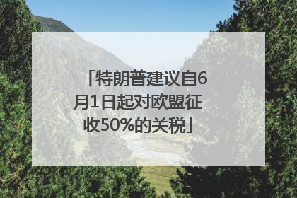 特朗普建议自6月1日起对欧盟征收50%的关税