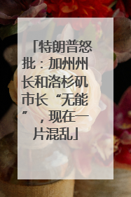 特朗普怒批：加州州长和洛杉矶市长“无能”，现在一片混乱