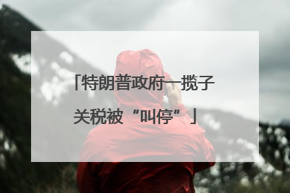 特朗普政府一揽子关税被“叫停”