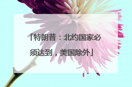 特朗普：北约国家必须达到，美国除外