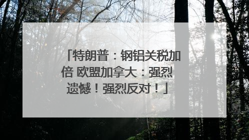 特朗普：钢铝关税加倍 欧盟加拿大：强烈遗憾！强烈反对！