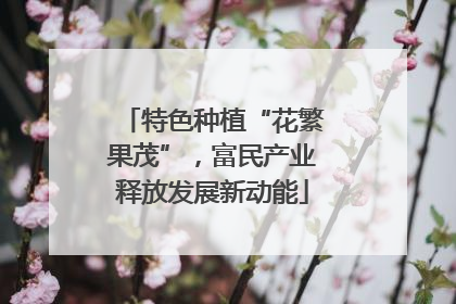 特色种植“花繁果茂”，富民产业释放发展新动能