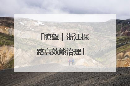 瞭望｜浙江探路高效能治理