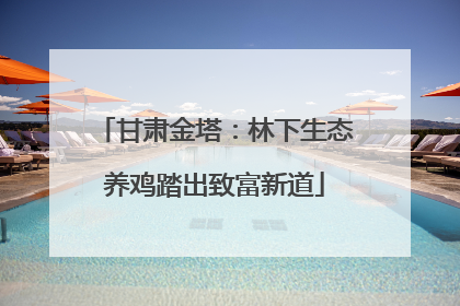 甘肃金塔：林下生态养鸡踏出致富新道