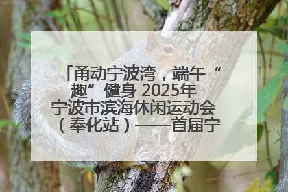 甬动宁波湾，端午“趣”健身 2025年宁波市滨海休闲运动会（奉化站）——首届宁波湾海洋运动会盛