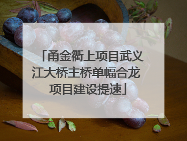 甬金衢上项目武义江大桥主桥单幅合龙 项目建设提速