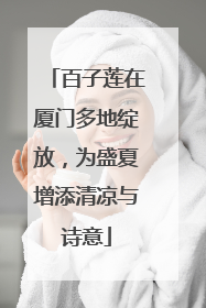 百子莲在厦门多地绽放，为盛夏增添清凉与诗意