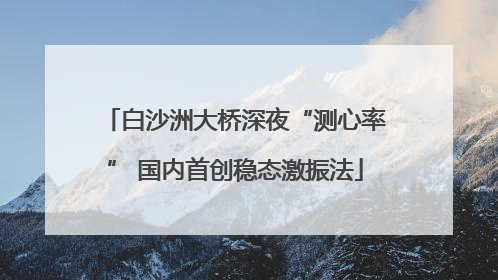 白沙洲大桥深夜“测心率” 国内首创稳态激振法