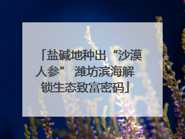 盐碱地种出“沙漠人参” 潍坊滨海解锁生态致富密码