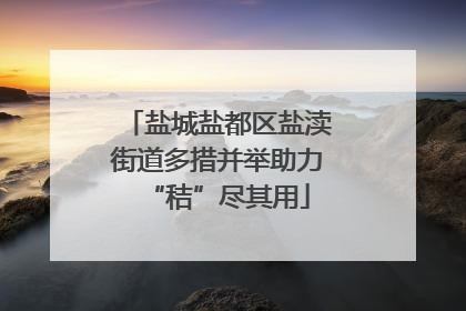 盐城盐都区盐渎街道多措并举助力“秸”尽其用
