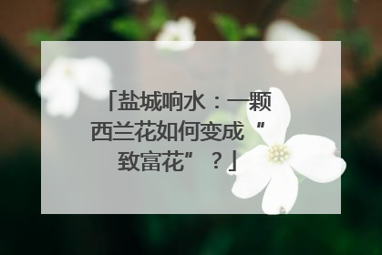 盐城响水：一颗西兰花如何变成“致富花”？