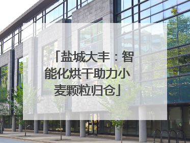 盐城大丰：智能化烘干助力小麦颗粒归仓