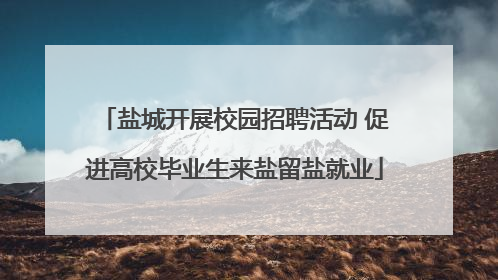 盐城开展校园招聘活动 促进高校毕业生来盐留盐就业