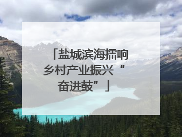 盐城滨海擂响乡村产业振兴“奋进鼓”