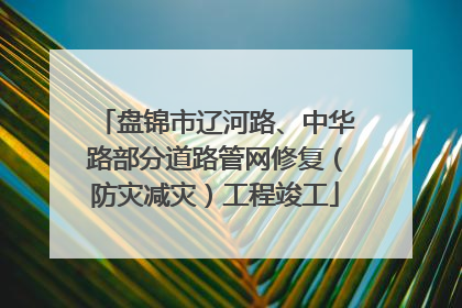 盘锦市辽河路、中华路部分道路管网修复（防灾减灾）工程竣工