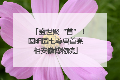 盛世聚“首”！圆明园七尊兽首亮相安徽博物院