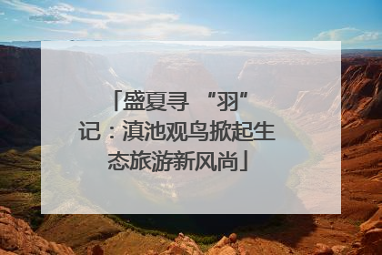 盛夏寻 “羽” 记：滇池观鸟掀起生态旅游新风尚