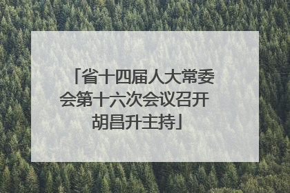 省十四届人大常委会第十六次会议召开 胡昌升主持